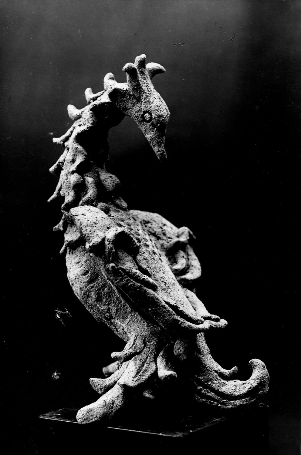 Oiseau terre rouge 27 cm 4000F_39 copie